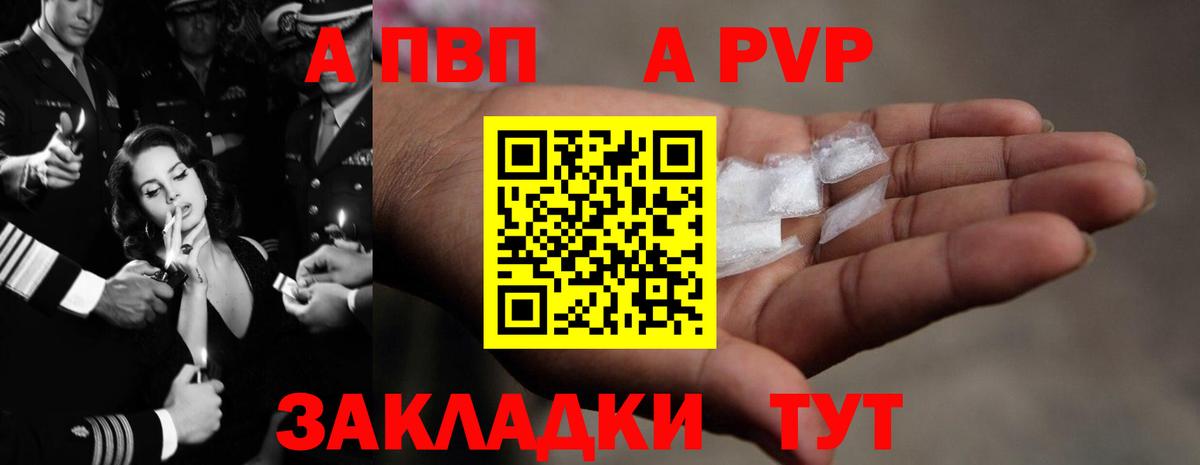 Alfa_PVP СК КРИС Минеральные Воды