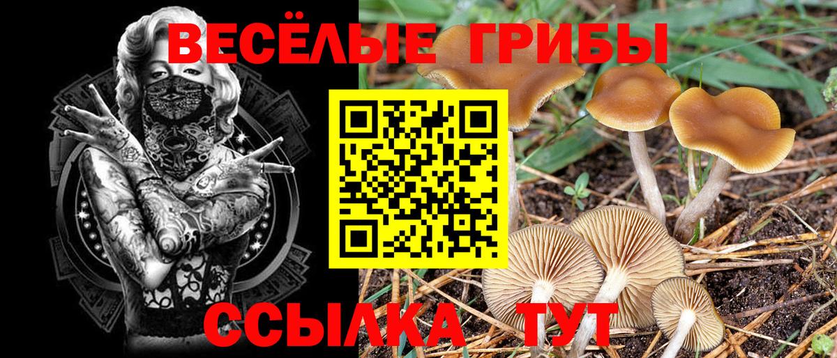 Галлюциногенные грибы MAGIC MUSHROOMS Минеральные Воды