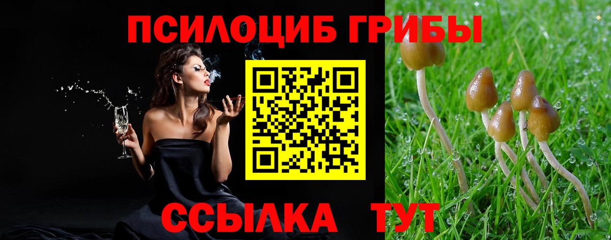 Псилоцибиновые грибы ЛСД  Вход с VPN  Минеральные Воды  Галлюциногенные грибы Magic Shrooms 